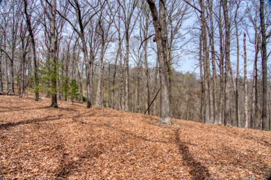 Great Beaver Lake View from this Hilltop 3+ Acres! - photo 23