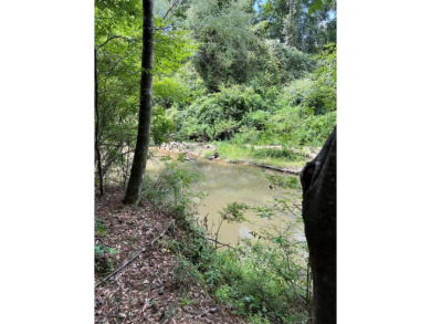 Lake Lot For Sale in Magnolia, Mississippi