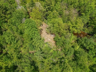 Beautiful 11-acre wooded parcel offering the perfect setting for - photo 11