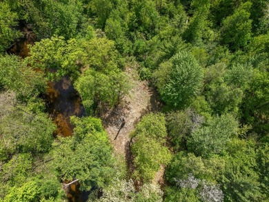 Beautiful 11-acre wooded parcel offering the perfect setting for - photo 12