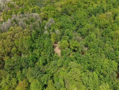 Beautiful 11-acre wooded parcel offering the perfect setting for - photo 14