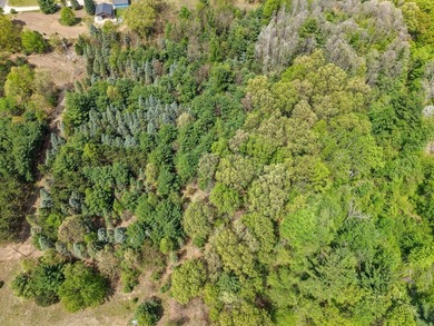 Beautiful 11-acre wooded parcel offering the perfect setting for - photo 15