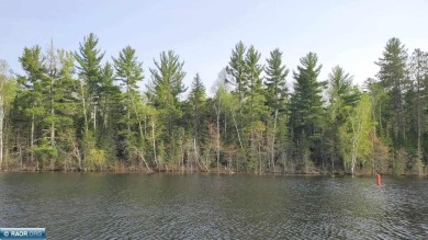 Lake Vermilion Acreage For Sale in Cook Minnesota