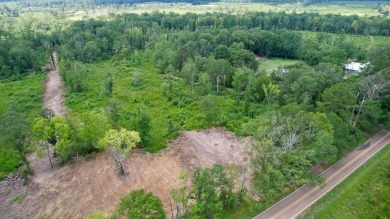 (private lake, pond, creek) Acreage For Sale in Wesson Mississippi