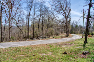 Great Beaver Lake View from this Hilltop 3+ Acres! - photo 16
