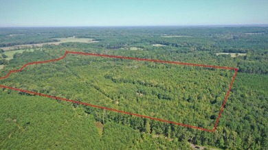 Beautiful 65.99 acres located in the highly sought after Atlanta - Lake Acreage Under Contract in Atlanta, Texas