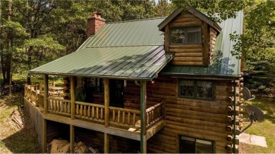 Lake Home For Sale in Nevis, Minnesota