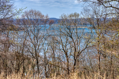 Great Beaver Lake View from this Hilltop 3+ Acres! - photo 9