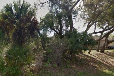 Port Charlotte Waterway Area Lot For Sale in Port Charlotte Florida