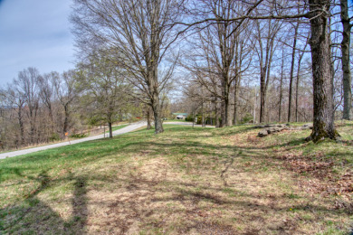 Great Beaver Lake View from this Hilltop 3+ Acres! - photo 8