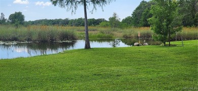 Lake Home For Sale in Inverness, Florida