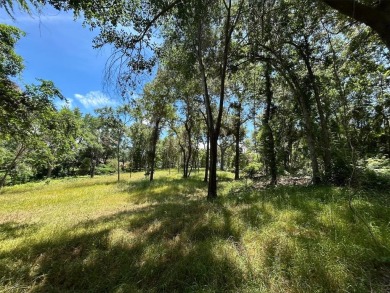 Lake Lot For Sale in Frankston, Texas