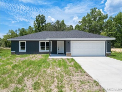 Lake Home For Sale in Dunnellon, Florida