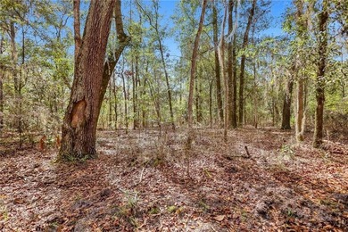 Drizzle Bluff Retreat is a captivating property nestled in the - photo 7