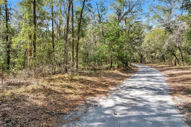 Drizzle Bluff Retreat is a captivating property nestled in the - photo 8