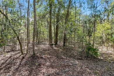 Drizzle Bluff Retreat is a captivating property nestled in the - photo 9