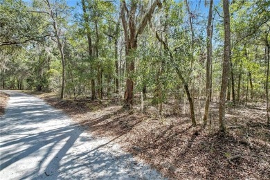 Drizzle Bluff Retreat is a captivating property nestled in the - photo 10