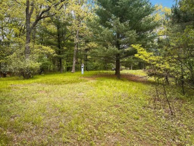 Kusel Lake Lot For Sale in Wild Rose Wisconsin