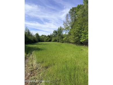 Discover the peace, privacy, and endless potential of this - photo 2