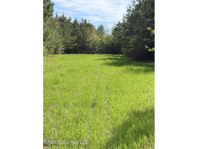 Discover the peace, privacy, and endless potential of this - photo 3