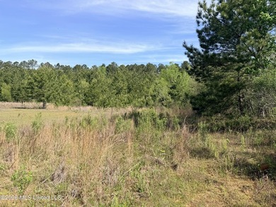 Discover the peace, privacy, and endless potential of this - photo 6