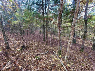 Eagle Ridge Rd. Lots for sale with underground utilities already - photo 7
