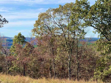 Eagle Ridge Rd. Lots for sale with underground utilities already - photo 8