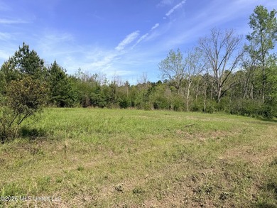 Discover the peace, privacy, and endless potential of this - photo 8