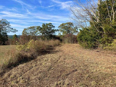 Eagle Ridge Rd. Lots for sale with underground utilities already - photo 9