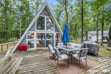 Lake Home For Sale in Fountain, Michigan