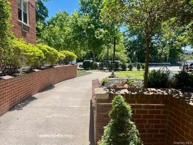 Well maintained large 2 bedroom with Terrace. This elevator - photo 24