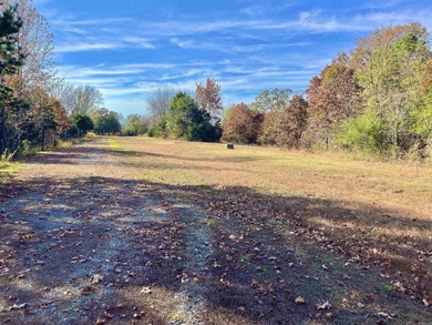 Eagle Ridge Rd. Lots for sale with underground utilities already - photo 7
