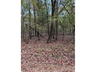 Lake Lot For Sale in Park Hill, Oklahoma