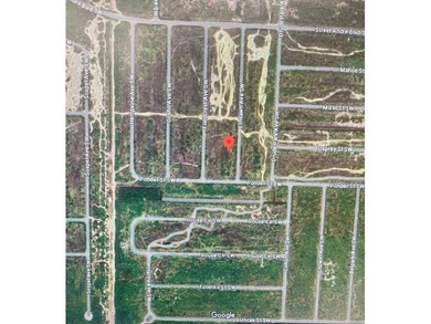 ONE OF A KIND OF .23 ACRE RESIDENTIAL PROPERTY WITH MANY - photo 3