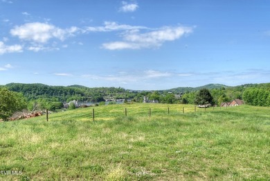 Nestled in the heart of East Tennessee, this stunning 7+ acre - photo 18