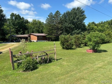 Lake Home For Sale in Center, Missouri