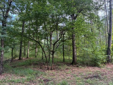 Lake Acreage For Sale in Wesson, Mississippi