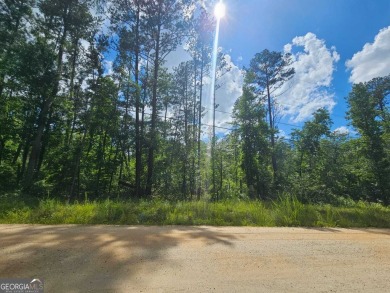 Lake Acreage For Sale in Mansfield, Georgia