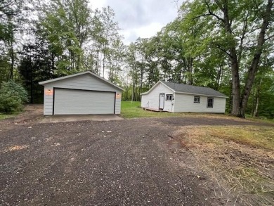 Lake Home For Sale in Fountain, Michigan