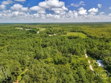 Beautiful .56 acre lot not far from the marsh facing Cathead - photo 8