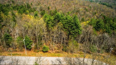 Enjoy stunning mountain views from this beautiful lot in Green - photo 2