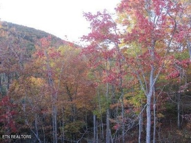 Enjoy stunning mountain views from this beautiful lot in Green - photo 3