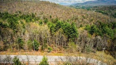 Enjoy stunning mountain views from this beautiful lot in Green - photo 5