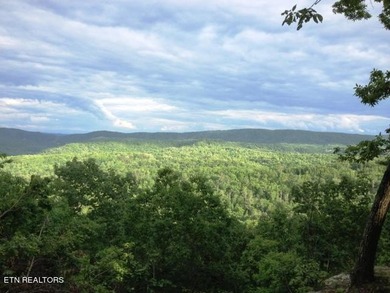Enjoy stunning mountain views from this beautiful lot in Green - photo 8