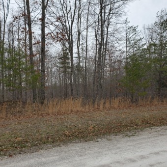 Lake Lot Off Market in Spencer, Tennessee