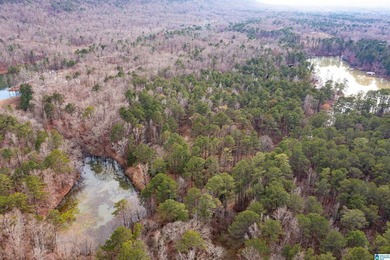 Smyer Lake Acreage For Sale in Leeds Alabama