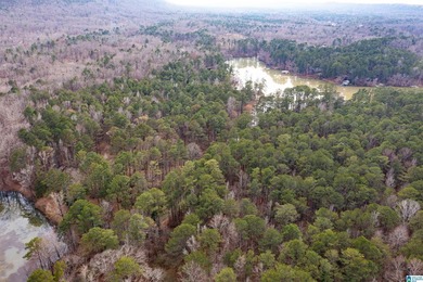 Looking for gated, private acreage to bring your own builder for - photo 3