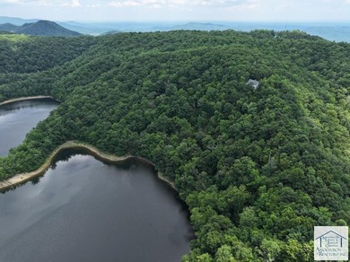 Welcome to 191 Reservoir Overlook, an Impressive 4 bedroom, 4.5 - photo 6