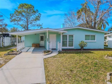 Lake Home Sale Pending in Palm Harbor, Florida