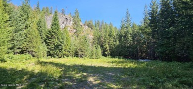  Acreage Sale Pending in Sagle Idaho